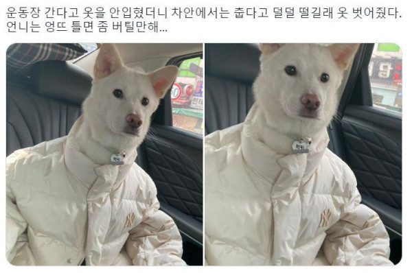 너무 잘어울리잖아